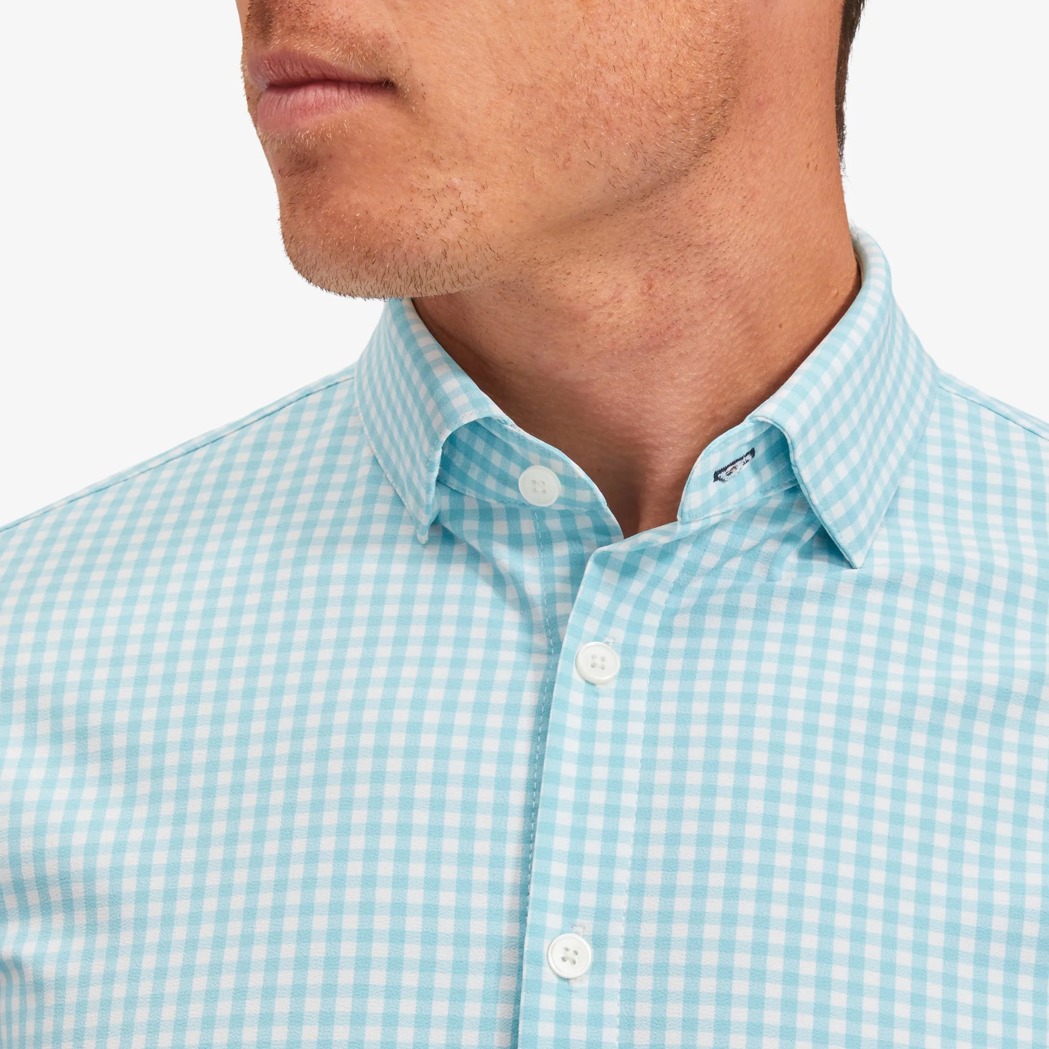 Aqua Gingham