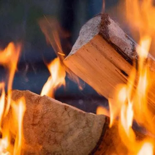 Softwood Kiln Dried Logs Nets